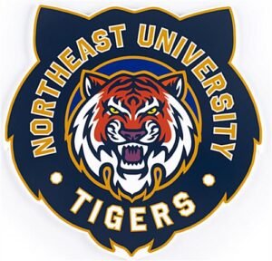 12 x 12 Custom Shaped Acrylic Plaque for Podiums, Full Color Printing