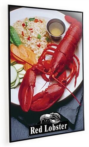 24 x 36 Poster Frame for Wall, Plastic Corrugated Backer, Plastic Frame - Black