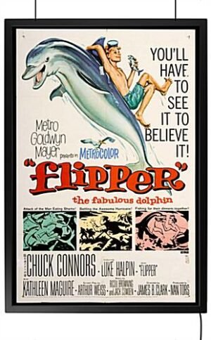 27 x 41 LED Light Box with Hanging Kit, Movie Poster Format, Snap Open - Black