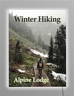 36” x 48” LED Light Box for Wall, SEG Graphics, Custom Printing - Silver