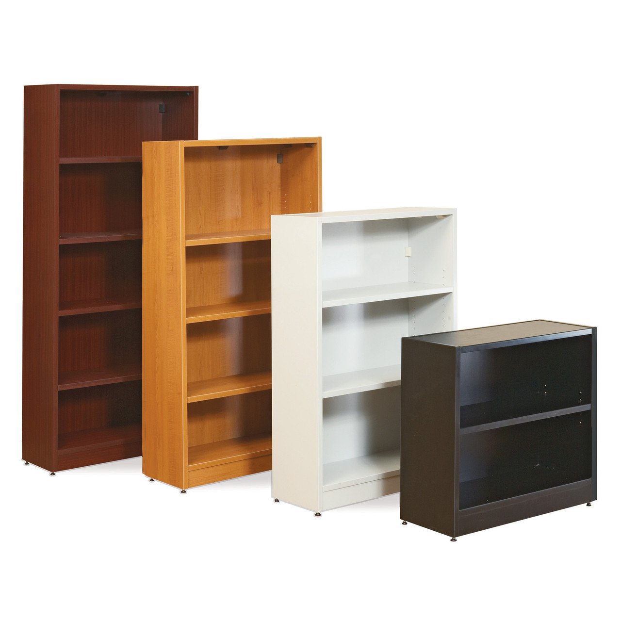 Bookcase with Black Masonite Back 2
