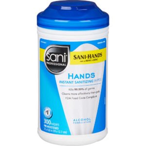 Sani-Hands Hand Sanitizing Wipes, 300 ct