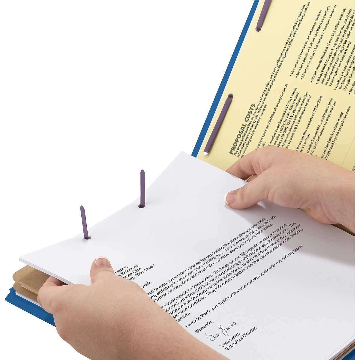 Smead Pressboard Classification Folder, 2 Divider, 2" Expansion, Letter, Dark Blue, 10 ct - Image 3