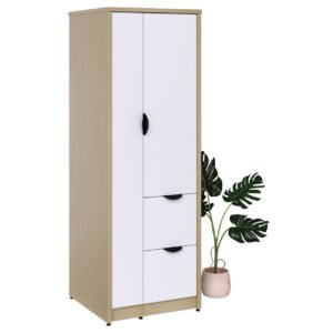 Storage Wardrobe with Dual File Storage