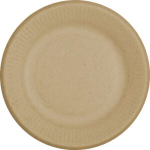 World Centric Compostable 6" Plate, 250 ct
