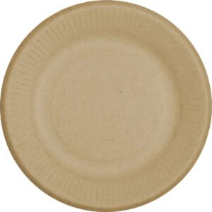 World Centric Compostable 9'' Plate, 250 ct
