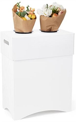 Cardboard Flower Display, 2 Waterproof Plastic Buckets - White